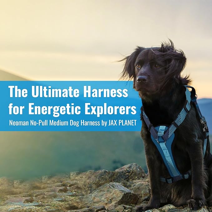 No-Pull Dog Harness with Handle - Escape Proof, Anti-Pulling, Grip Control, Multi-Angle Reflective for Safe Walks & Training, Easy On & Off, Metal Buckle–Pet Harness, Medium/Large Dogs- H3- Blue-Mewly Pet