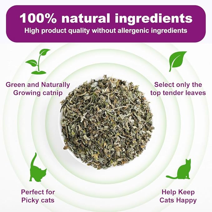 Organic Natural Catnip Cattle Grass Mint Taste Funny Cat Toy New Cat Toy Interactive Cat Toys Pet Supplies-Mewly Pet