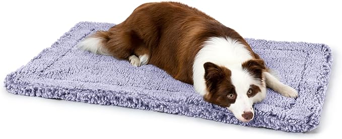 Stoutwool Indestructible Dog Bed - Fluffy Chew Proof Dog Crate Pad - Tough Kennel Pad for Aggressive Chewers - Washable, Ideal for Large Breeds & Fits 36-Inch Crate - 35"x22", Jacaranda-Mewly Pet