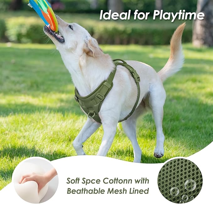 No Pull Dog Harness, Puppy Vest with Front Clip for Small Medium Large Sized Dog (Misty Green,M)-Mewly Pet