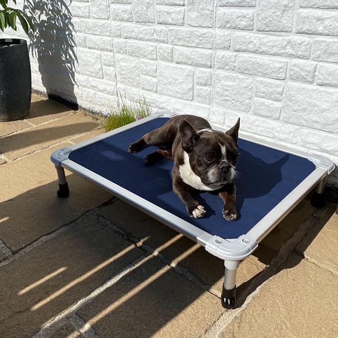 Veehoo Chew Proof Elevated Dog Bed - Cooling Raised Pet Cot - Silver Aluminum Frame and Durable Textilene Mesh Fabric, Unique Designed No-Slip Feet for Indoor or Outdoor Use, Blue, Medium, CWC2003-Mewly Pet