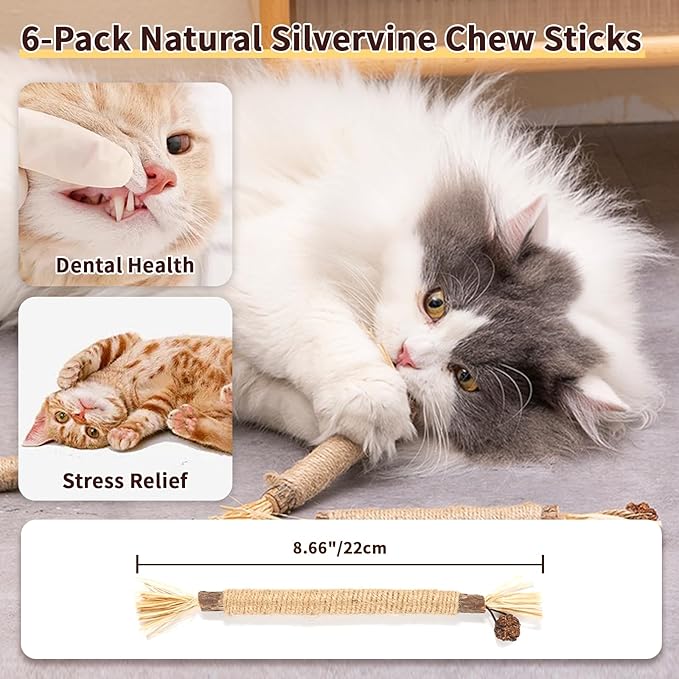 6 Pack Silvervine Cat Chew Toys, Natural Dental Sticks for Indoor Cats, Kittens Teeth Cleaning, Catnip Alternative, Interactive Play, Yellow-Mewly Pet