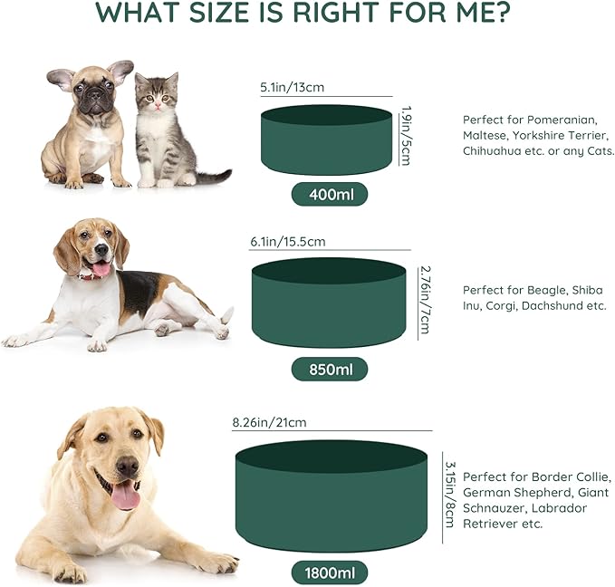 SPUNKYJUNKY Ceramic Dog and Cat Bowl Set with Wooden Stand, Modern Cute Weighted Food Water Set for Large Size Dogs (7.6 Cups, 2 × Green)-Mewly Pet