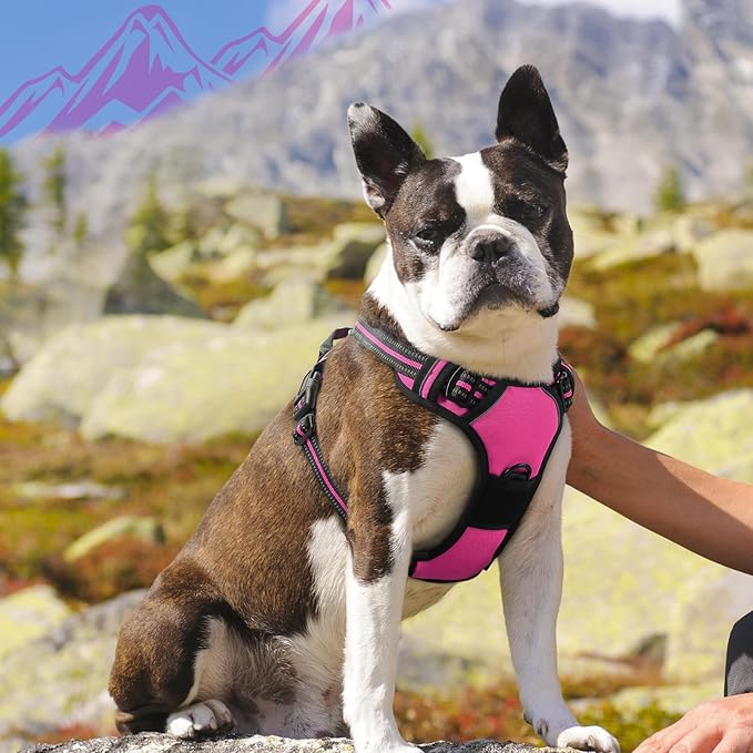Eagloo Dog Harness Medium Sized Dog, No Pull Service Vest with Reflective Strips and Control Handle, Adjustable and Comfortable for Walking, No Choke Pet Harness with 2 Metal Rings, Rose Red, M-Mewly Pet