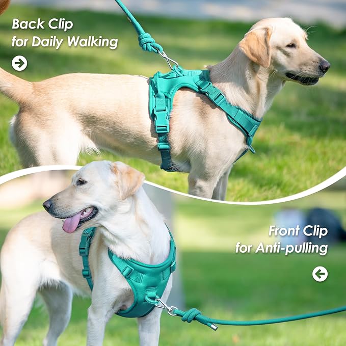 No Pull Dog Harness, Puppy Vest with Front Clip for Small Medium Large Sized Dog(MARRS Green,M)-Mewly Pet