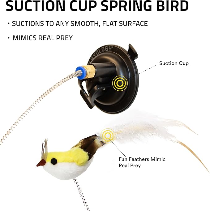 Playology Cat Toy Suction Cup Spring Bird | Interactive Toy with Lifelike Feather Bird | Secure Suction Cup with Unpredictable Movement | Perfect for Active Indoor Cats-Mewly Pet