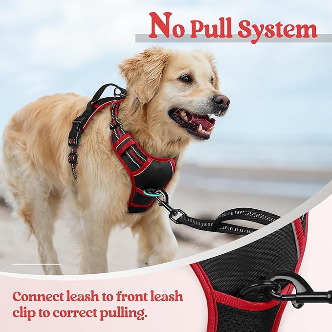 rabbitgoo Dog Harness No Pull with 2 Leash Clips, Adjustable Soft Padded, Reflective Oxford No Choke Pet Vest with Easy Control Handle for Large Dogs, Black & Red, XL-Mewly Pet