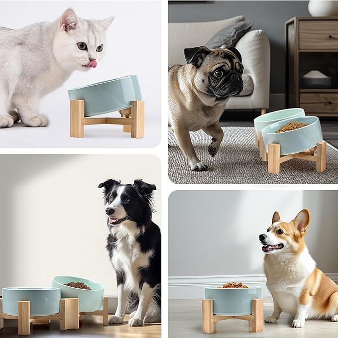 SPUNKYJUNKY 15° Slanted Ceramic Dog and Cat Bowl with Wooden Stand, Tilted Bulldog Food and Water Bowl No Slip Non-Spill for Cats Medium Dogs Big Face Pets 13.5 OZ (1.7 Cups, Morandi Green × 2)-Mewly Pet