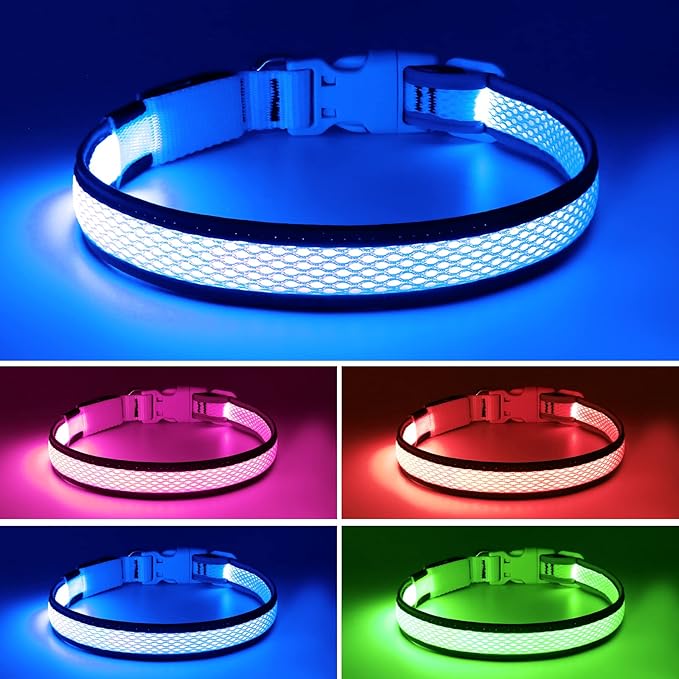 Flashseen LED Dog Collar, Light Up Dog Collar USB Rechargeable, Brightest Dog Lights for Night Walking, Adjustable Dog Collar Light for Dog Safety(Medium, Royal Blue)-Mewly Pet