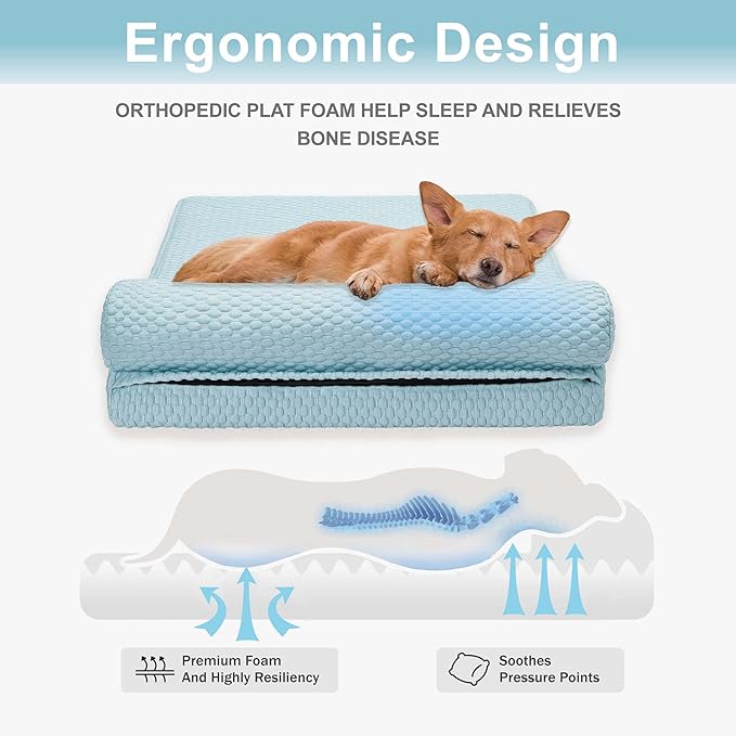 Tinaco Orthopedic Dog Couch Bed for Large Dogs, Cats - XX-Large, Washable, Removable Cover-Mewly Pet