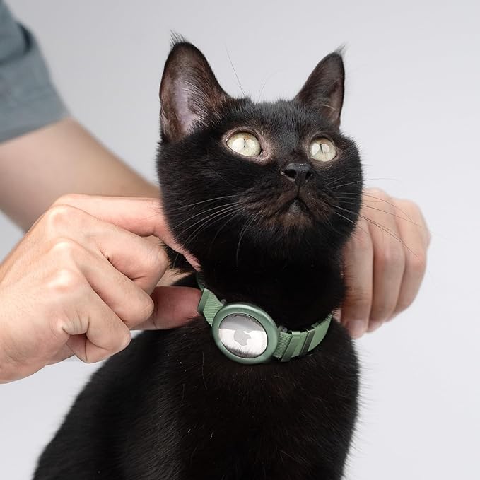 Safety Cat Collar - U.S. IDA Gold Awarding Design, Stretch Non Breakaway Elastic Quick Release, Light Weight Adjustable for Kitten, Neck Fit 7.8'-15.7' for All Small Large Cats,M(Blurple)-Mewly Pet