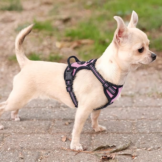 rabbitgoo Dog Harness No Pull with 2 Leash Clips, Adjustable Soft Padded, Reflective Oxford No Choke Pet Vest with Easy Control Handle for Puppy, Pink, XS-Mewly Pet