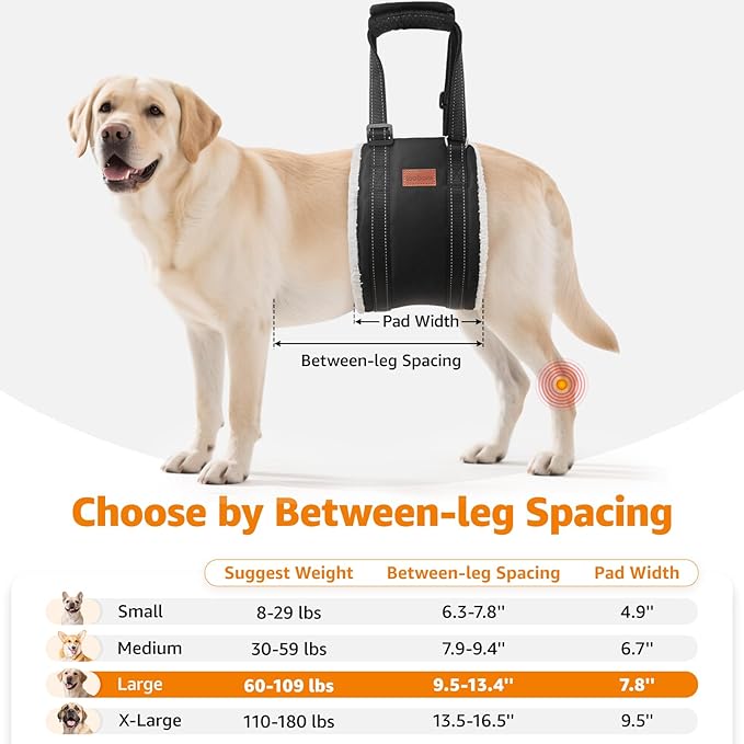 LOOBANI Portable Dog Sling for Back Legs, Hip Support Harness to Help Lift Rear for Canine Aid Old K9 Cruciate Ligament Rehabilitation-Mewly Pet