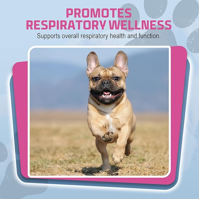 PetSilver Immune Support, Natural Nebulizer Solution, Promotes Respiratory Health in Cats & Dogs, Allergies, Sinus & Cough Treatment, Easy to Use, Patented Chelated Silver, Made in The USA, 16 fl oz-Mewly Pet