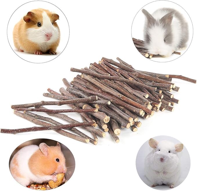 250g Apple Sticks Small Animals Molar Wood Treats Toys for Rabbits Chinchillas Guinea Pig Hamster Gerbil Parrot Bunny and Small Animals Chew Stick Toys Treats-Mewly Pet