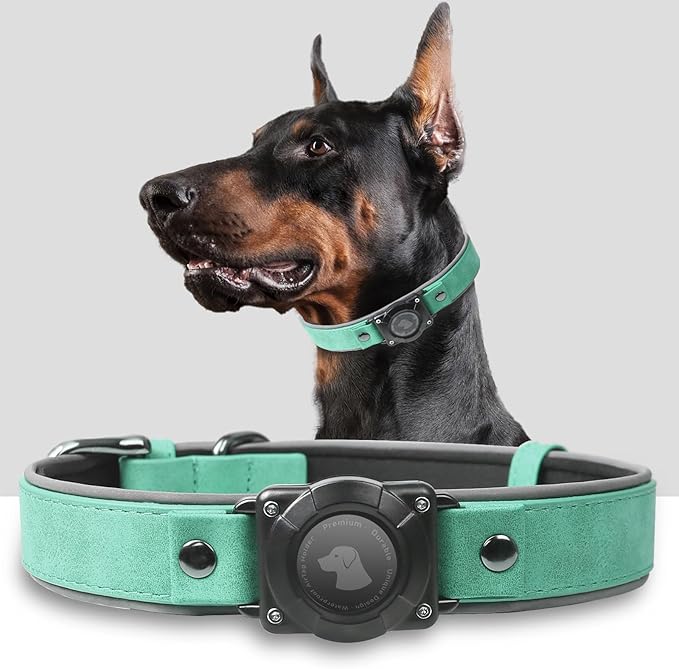 AirTag Dog Collar - Leather Dog Collar with Air Tag Holder | IPX8 Waterproof, Reflective, High - End, Adjustable Soft Padded | Dog GPS Tracker Collars Fit for Medium Large Dogs (Teal, L)-Mewly Pet