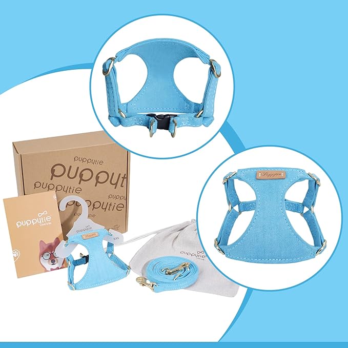 Puppytie No Pull Dog Harness with Multifunction Dog Leash,Soft Adjustable No Choke Escape Proof Pet Harness Vest for Medium Dogs or Large Dogs,Ocean Blue,M-Mewly Pet