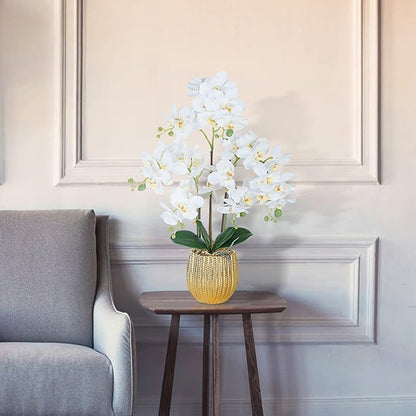 Ziwon Artificial Orchid Flowers & Plants Potted in Ceramic Pot, White Faux Phalaenopsis Orchids for Table Centerpiece, Realistic Fake Flower Arrangement for Home Office Decor Indoor