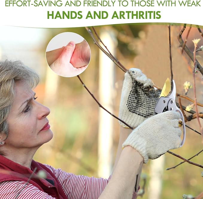 Ultra Sharp Germany Titanium Steel Pruning Shears - Cuts 3X Easier, Weak Hand Arthritis Snips, Rust-Resistant, Effortlessly 1-Inch Cut Capacity Garden Scissors, Ergonomic Handle-Mewly Pet