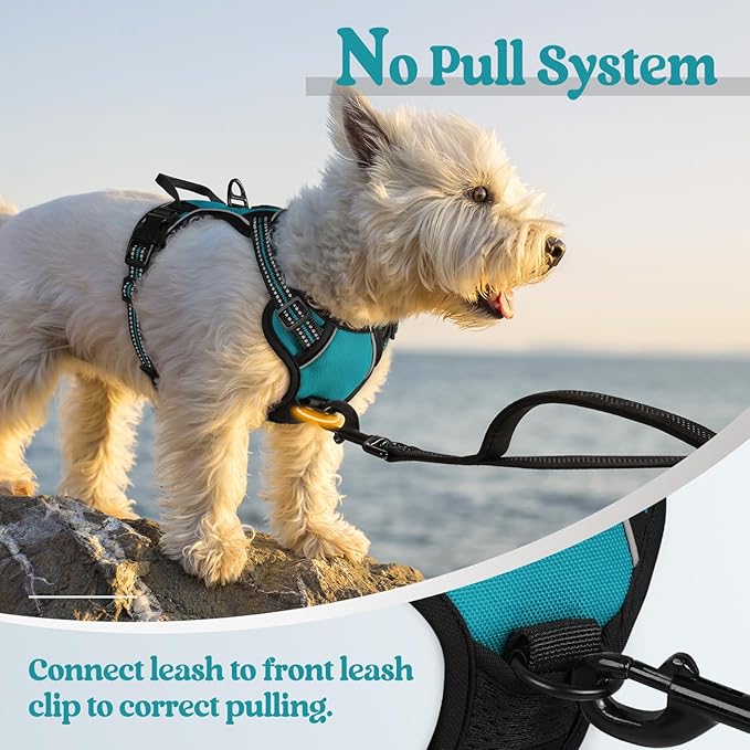rabbitgoo Dog Harness No Pull with 2 Leash Clips, Adjustable Soft Padded, Reflective Oxford No Choke Pet Vest with Easy Control Handle for Puppy, Teal, XS-Mewly Pet