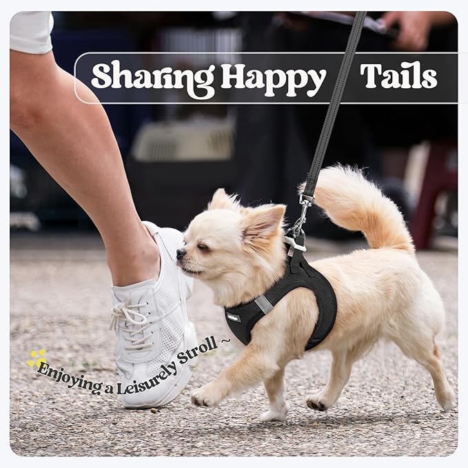 rabbitgoo Dog Harness Small Medium Sized and Leash Set, Step in Soft Light Puppy Vest, Breathable Mesh Pet Harness, Reflective for Safe Easy Walking, Black L-Mewly Pet