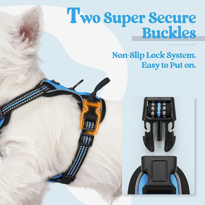 rabbitgoo Dog Harness No Pull with 2 Leash Clips, Adjustable Soft Padded, Reflective Oxford No Choke Pet Vest with Easy Control Handle for Puppy, Blue, XS-Mewly Pet