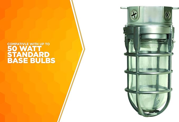 Woods L1706 Vandal Resistant Security Light With Ceiling Mount (150W Incandescent Bulb; Silver)