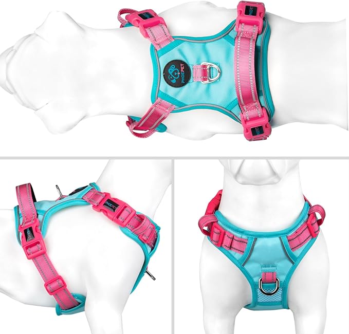 PHOEPET No Pull Dog Harness, Unique Colors Reflective Adjustable Dog Vest, with Soft Training Handle Metal Clips for Small Medium Large Dogs (Mint Green Base & Pink Straps,S)-Mewly Pet