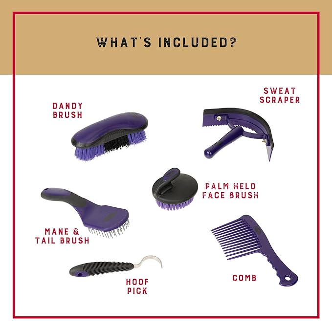 Weaver Equine 6-Piece Horse Grooming Kit, Ergonomic Gentle Horse Care Kit, Equestrian Supplies for Bathing Support, Detangling, and More, Purple/Black-Mewly Pet
