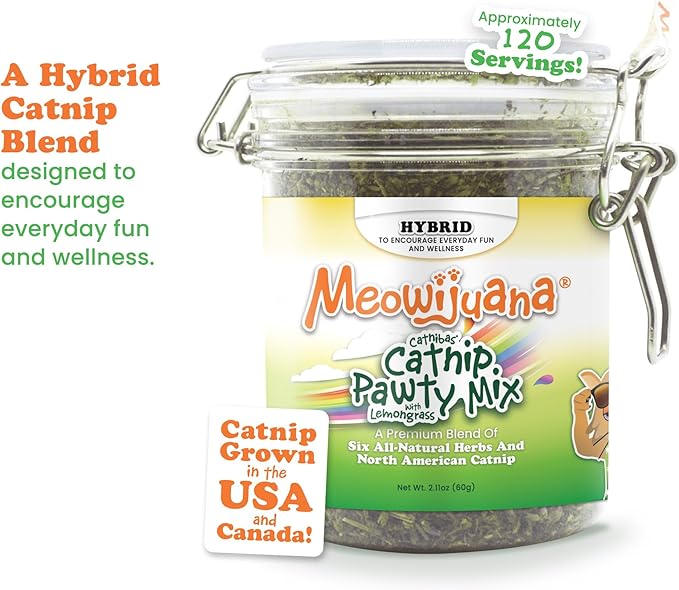 Meowijuana Catnibas Catnip Pawty Mix with Lemongrass Jar | Value Bulk Jar | Premium High Potency Catnip | Premium Hand Harvested North American Catnip | 60g-Mewly Pet