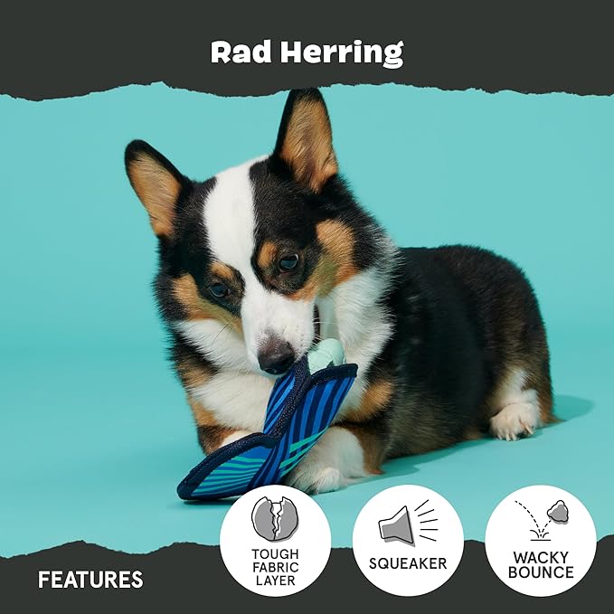 Barkbox Super Chewer Rad Herring Hard Core Toy with Rip Away Plush for Aggressive Chewers, Medium-Mewly Pet