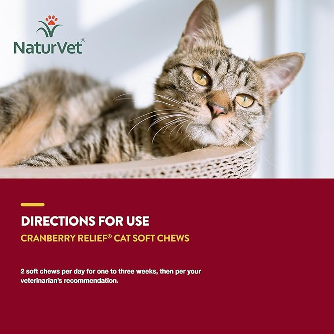 NaturVet Cranberry Relief Plus Echinacea for Cats, 60 ct Soft Chews, Made in The USA with Globally Source Ingredients-Mewly Pet