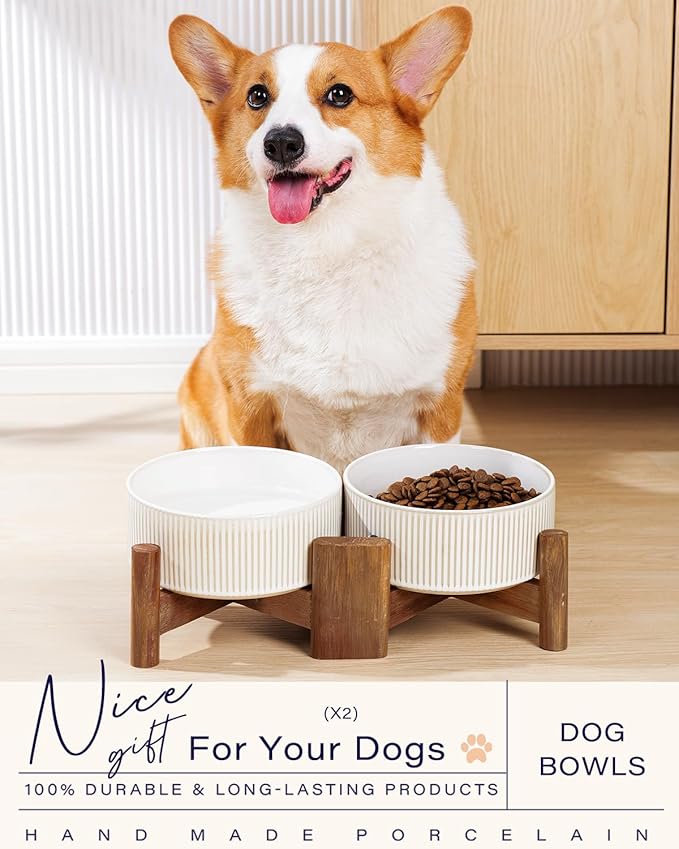 Getstar Ceramic Dog Bowls with Acacia Wood Stand, 30 fl oz, Set of 2, Dog Food Bowl, Cat Bowls (6.5 inches) (Vintage White)-Mewly Pet