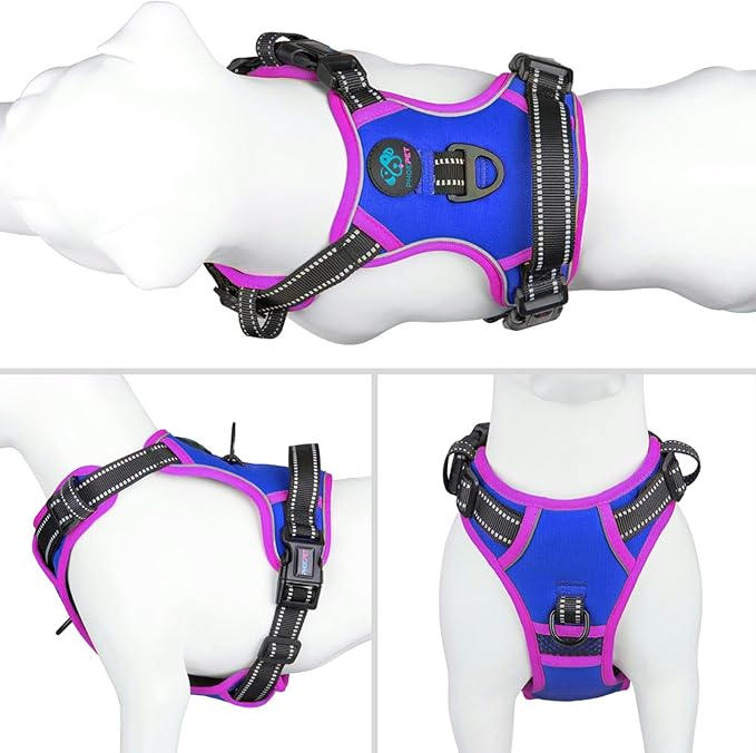 PHOEPET 2019 Upgraded No Pull Dog Harness, Reflective Adjustable Vest, with a Training Handle + 2 Metal Leash Hooks+ 3 Snap Buckles +4 Slide Buckles(S, Royal Blue)-Mewly Pet