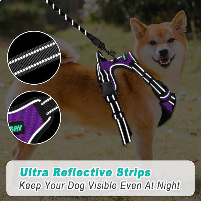 BARKBAY No Pull Dog Harness Large Step in Reflective Dog Harness with Front Clip and Easy Control Handle for Walking Training Running(Purple,M)-Mewly Pet