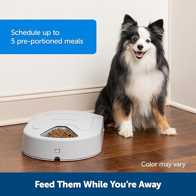 PetSafe Automatic Dog Feeder, 5 Meals, 40 oz Capacity, Plastic, for Dry Food, Multiple Pets-Mewly Pet