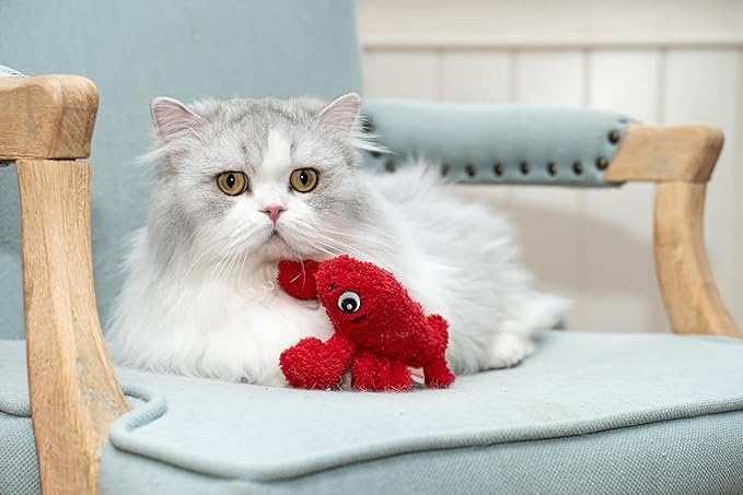 Interactive Catnip Cat Plush Toy, Ocean Theme, 5'', for All Breed Size Cats (Lobster)-Mewly Pet