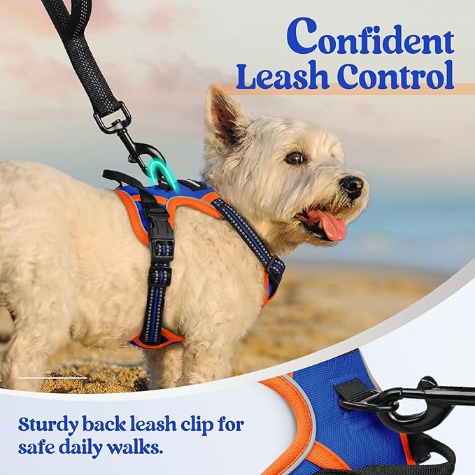 rabbitgoo Dog Harness No Pull with 2 Leash Clips, Adjustable Soft Padded, Reflective Oxford No Choke Pet Vest with Easy Control Handle for Puppy, Blue & Orange, XS-Mewly Pet