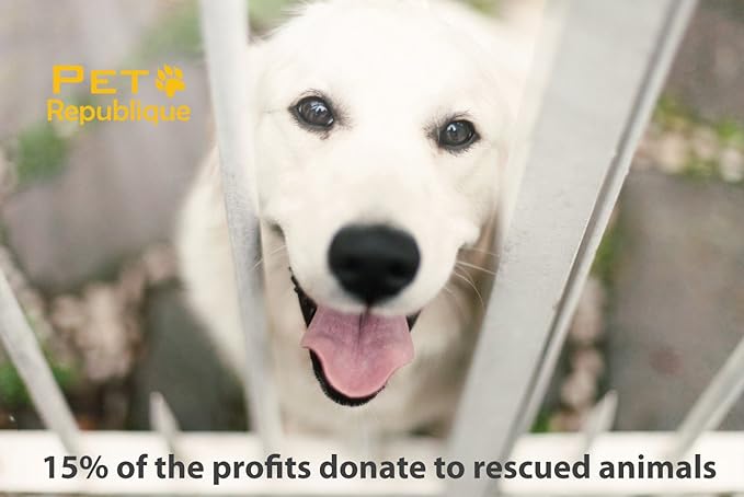 Cat Nail Clippers by Pet Republique – Professional Stainless-Steel Nail Clipper for Cats, Kittens, Hamster, Rabbits, Birds, & Small Breed Animals Claw Trimmer-Mewly Pet