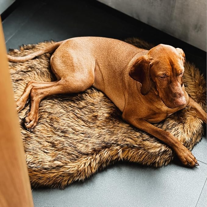 IHAPPYDOG Luxury Faux Fur Orthopedic Dog Bed, Memory Foam Dog Bed for Small, Medium, Large and XL Pets, Fluffy Pet Bed with Waterproof and Washable Cover (Brown, 40"x25")-Mewly Pet