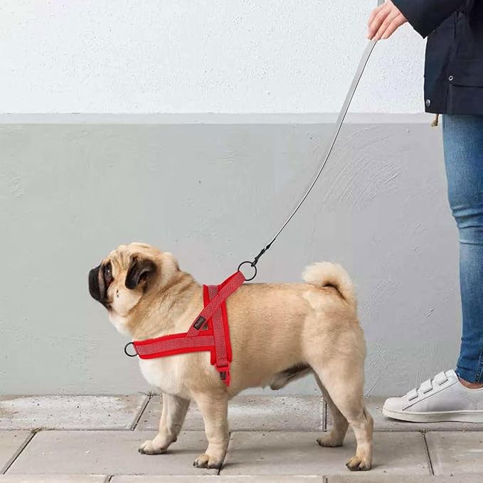 Didog No Pull Dog Harness with Breathable Mesh Padded, Full Reflective & Quick Fit Adjustable Vest Harness, Easy for Training Walking for Small & Medium and Large Dogs (Red, L:Chest 26-32")-Mewly Pet