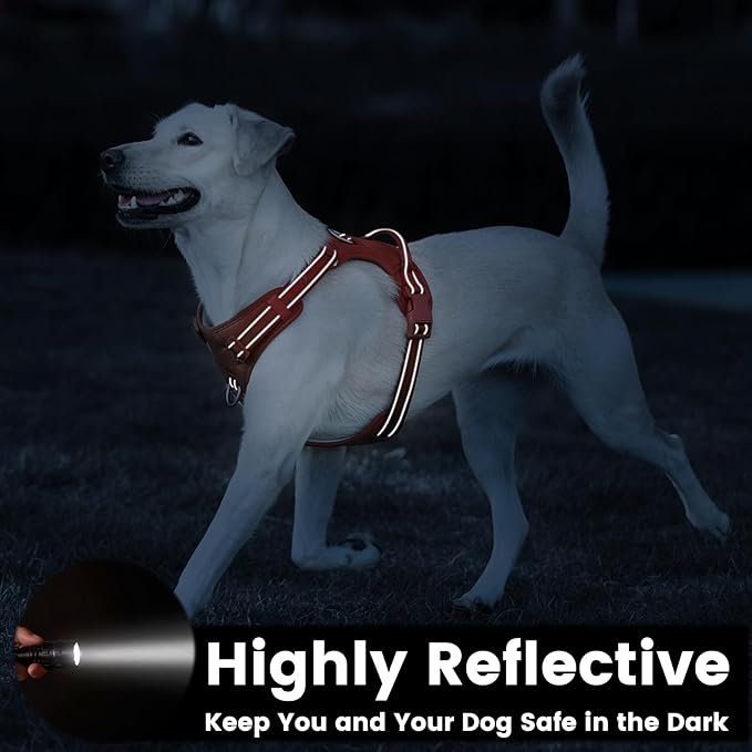 No Pull Dog Harness, Reflective Puppy Vest for Small Medium Large Sized Dog(Orange,XS)-Mewly Pet