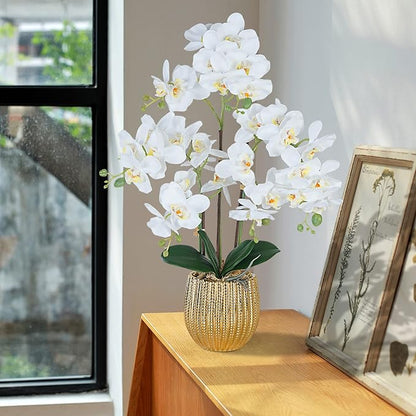 Ziwon Artificial Orchid Flowers & Plants Potted in Ceramic Pot, White Faux Phalaenopsis Orchids for Table Centerpiece, Realistic Fake Flower Arrangement for Home Office Decor Indoor