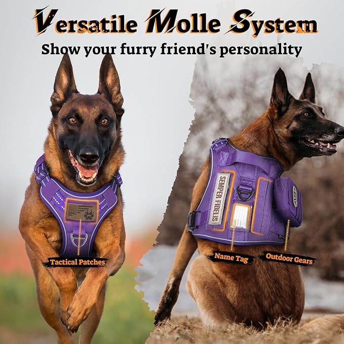 rabbitgoo Dog Harness for Large Dogs No Pull, Tactical Service Pet Vest with Molle and Control Handle, Adjustable and Reflective Military Harness for Easy Walking and Training, Purple, L-Mewly Pet