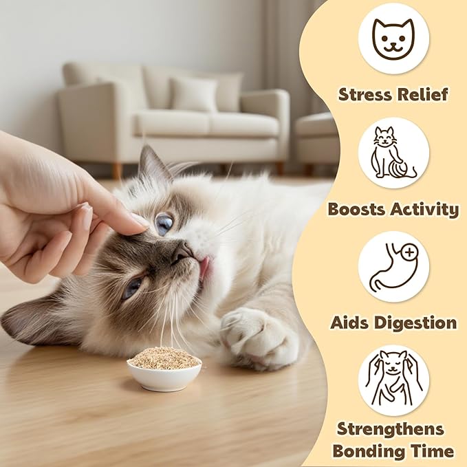 80PCS Catnip - Cat Nip for Cats Natural Dried Catnip Treats Premium Cat Nip Perfect for Toys, Training Rewards, Stress Relief, Freshly Harvested Bag Bulk Pack,2.8OZ-Mewly Pet