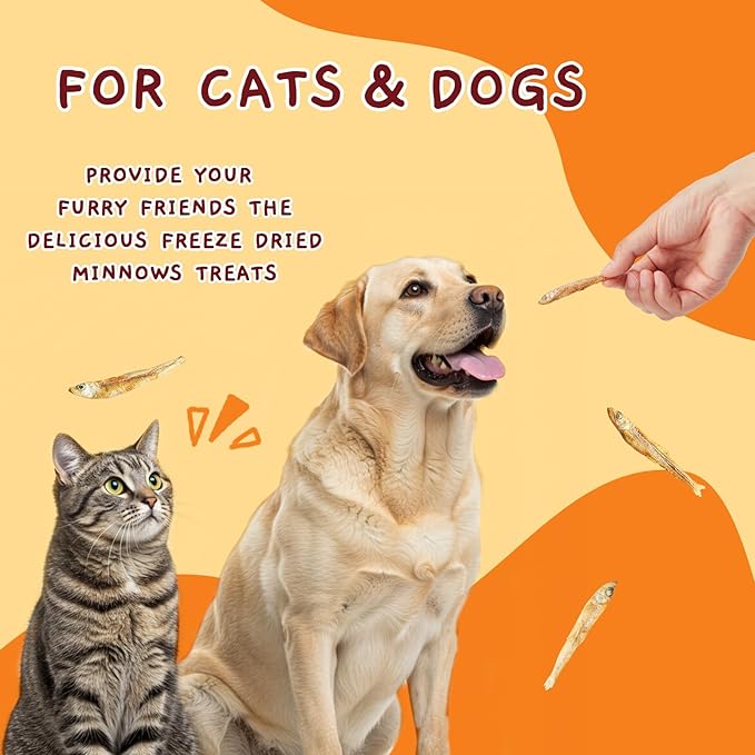 Jungle Calling Freeze Dried Minnows for Cats & Dogs, Single Ingredient Fish Cat & Dog Treats, High Protein Grain Free Pet Training Snacks, 2 oz-Mewly Pet