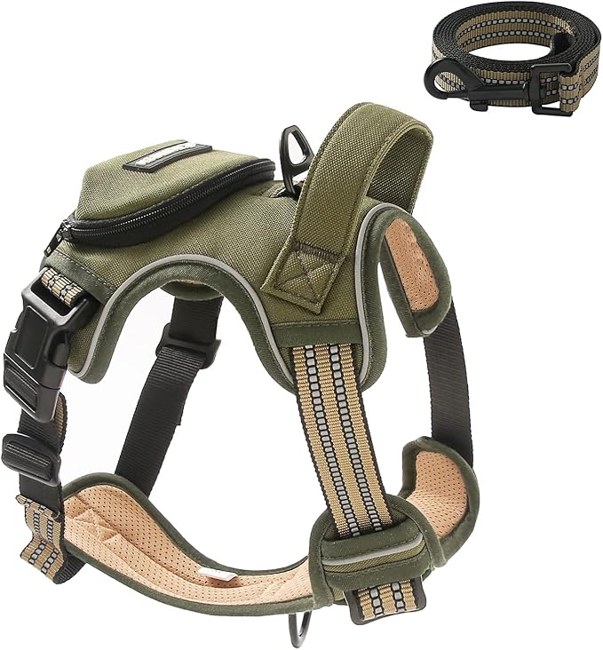 No Pull Dog Harness for Small Dogs, Adjustable No Choke Pet Vest with Dog Leash Fit Smart Reflective Pet Walking Harness for Training Easy Control Soft Handle Green S-Mewly Pet