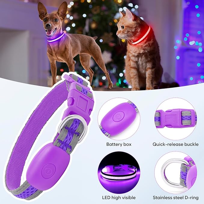Flashseen LED Cat Collar,Light Up Dog Collar Rechargeable, Dog Lights for Night Walking, Comfortable Soft Mesh Pet Collar Adjustable for Cats Puppy and Small Dogs (Purple, XS)-Mewly Pet