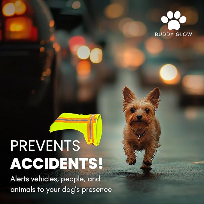 Reflective Dog Vest: Hi-Visibility Safety Gear for Outdoors. Safeguard Your Dog with Easy to wear Adjustable Reflective Vest (Small)-Mewly Pet