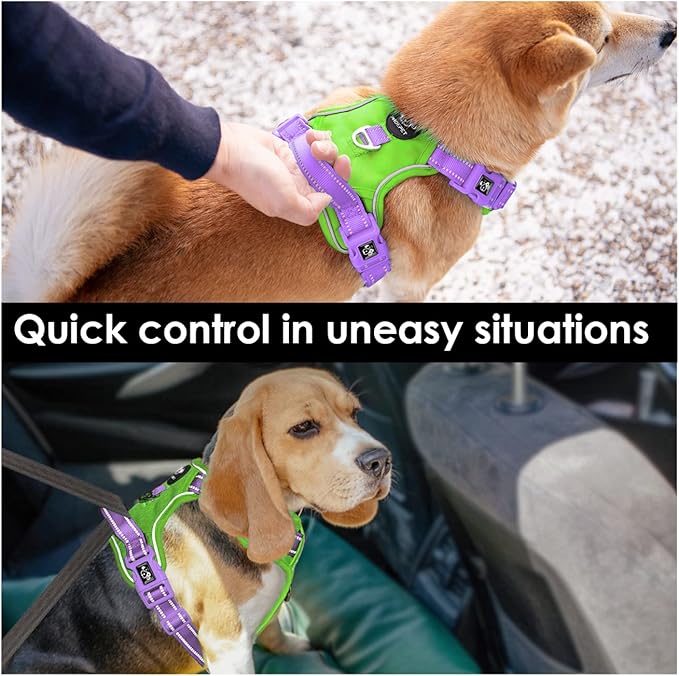 PHOEPET No Pull Dog Harness, Unique Colors Reflective Adjustable Dog Vest, with Soft Training Handle Metal Clips for Small Medium Large Dogs (Green Base & Purple Straps,M)-Mewly Pet